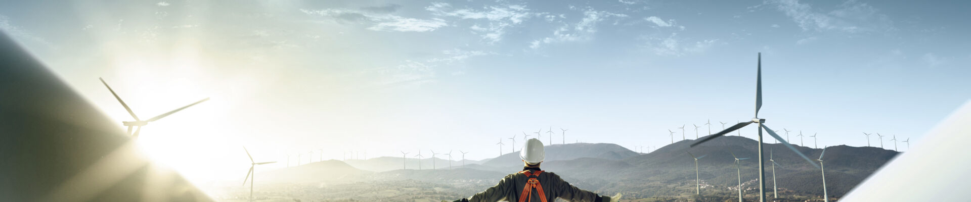 Bachmann Karriere Wind