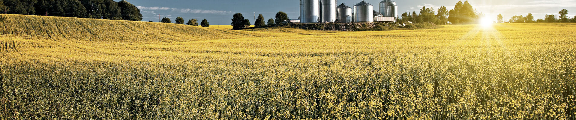 147664729_lichtpunkt_bearb